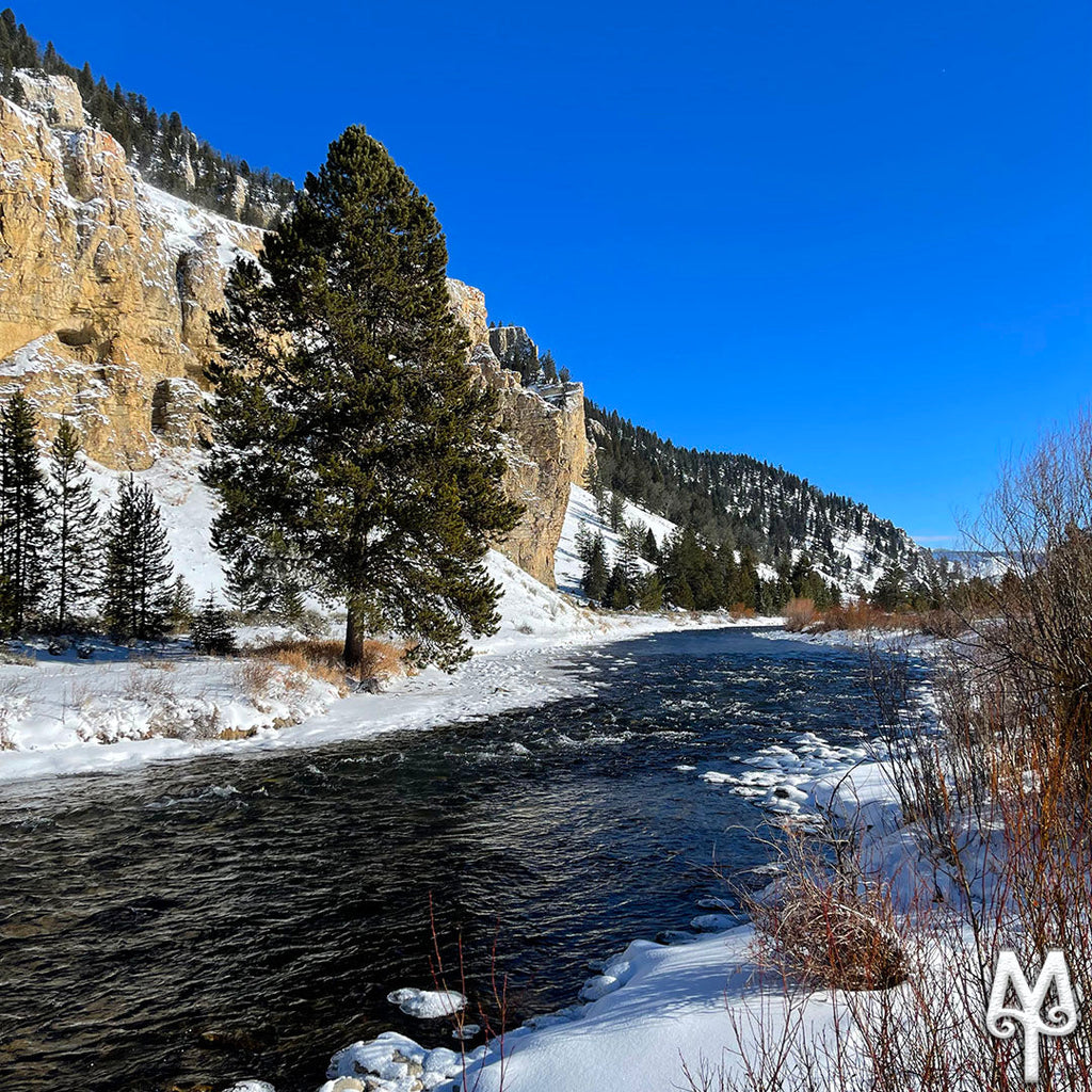 Explore The Gallatin River 2025