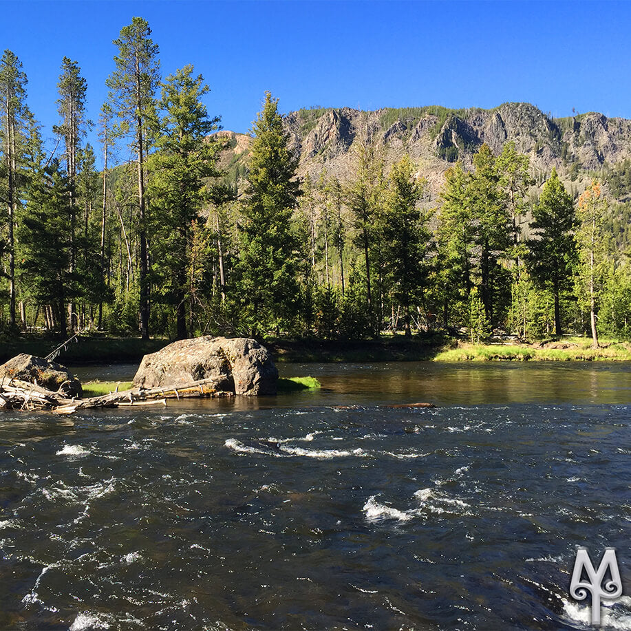 Spring Fly Fishing In Yellowstone National Park