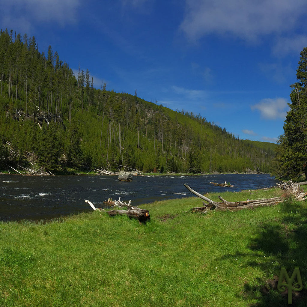 Fly Fishing The Firehole