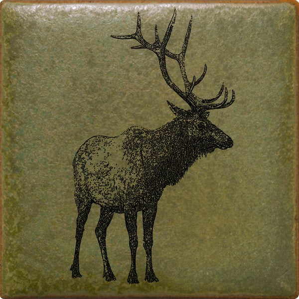 Custom Illustrated Wildlife Tile